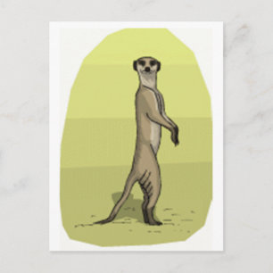 CARTÃO POSTAL MEERKAT