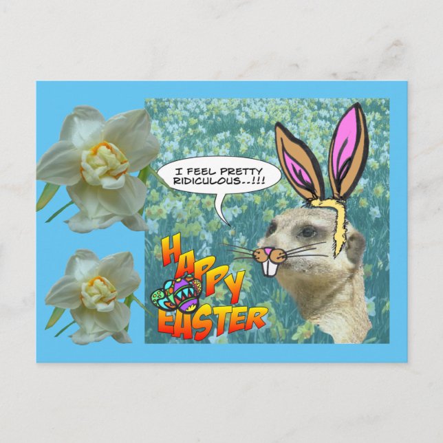 Cartão postal Meerkat Daffodils felz pascoa (Frente)