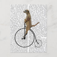 Meerkat em Black Penny Farthing