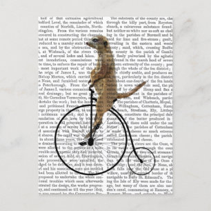 Cartão Postal Meerkat em Black Penny Farthing