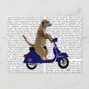 Cartão Postal Meerkat em Blue Moped Escuro