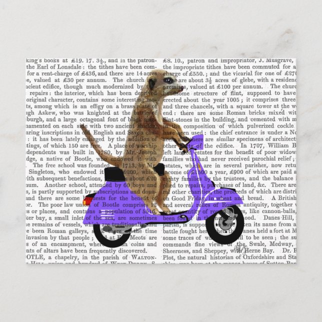 Cartão Postal Meerkat em Lilac Moped (Frente)