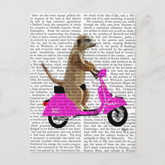 Cartão Postal Meerkat em Moped Rosa (Frente)