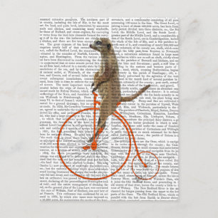 Cartão Postal Meerkat em Orange Penny Farthing