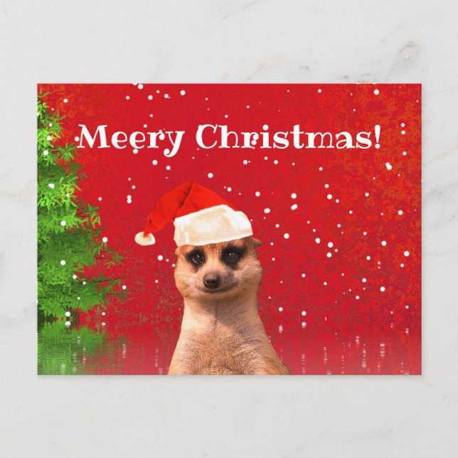 Cartão Postal Meerkat Felry Natal Engraçado (Frente)