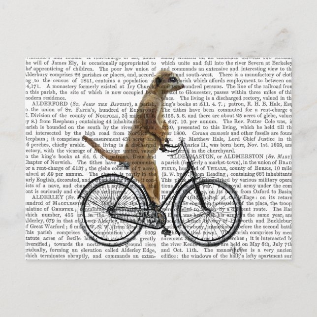 Cartão Postal Meerkat na Bicicleta (Frente)