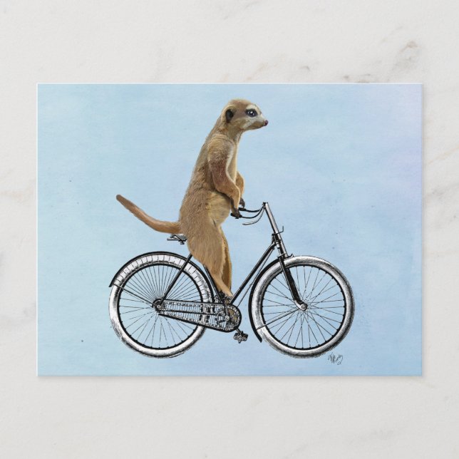 Cartão Postal Meerkat na Bicicleta 2 (Frente)