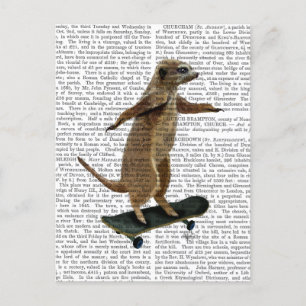 Cartão Postal Meerkat No Skateboard 2
