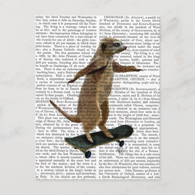 Cartão Postal Meerkat No Skateboard 2 (Frente)