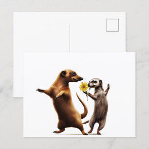Cartão Postal Meerkats dançantes