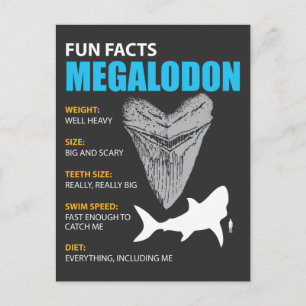 Cartão Postal Megalodon tshirt presente de excelente para os ent