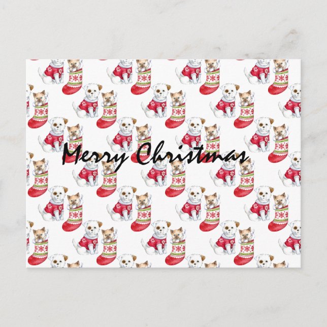 Cartão Postal Meias de Cachorro e Gato de Natal (Frente)