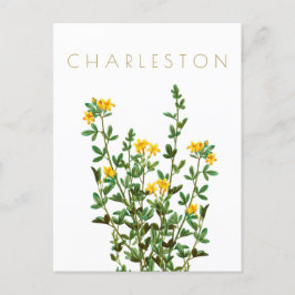 Cartão Postal Meio século de viagem de flor Vintage Charleston