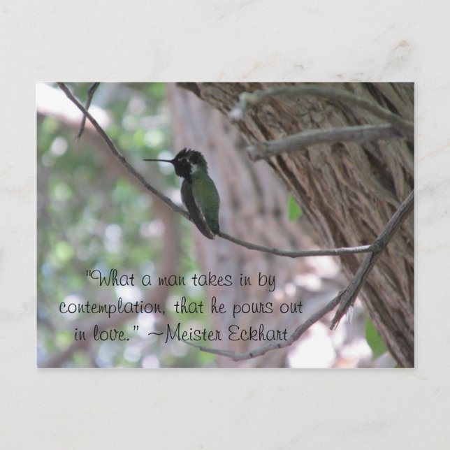 Cartão Postal Meister Eckhart Contemplation Cita Hummingbird (Frente)