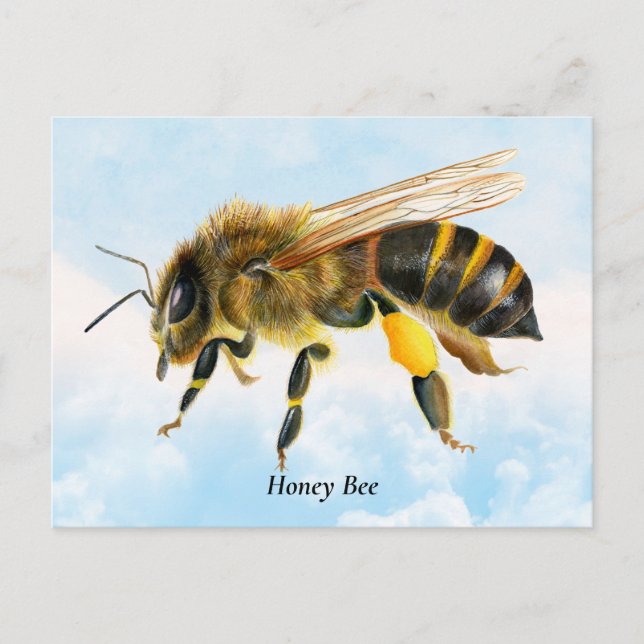 Cartão Postal Mel Bee Watercolor Painting (Frente)