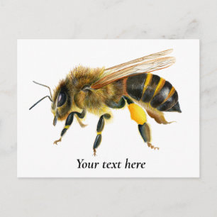 Cartão Postal Mel Bee Watercolor Painting