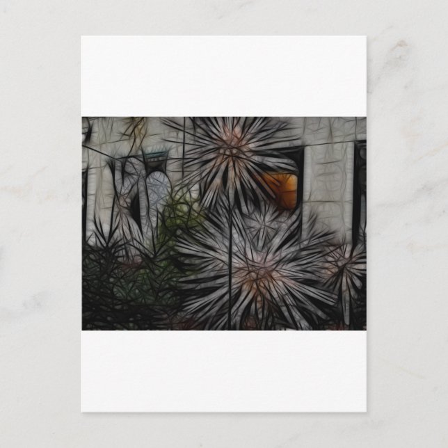 Cartão Postal Mel Wilted (Frente)