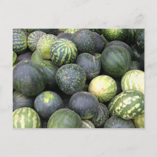 Cartão Postal melancias
