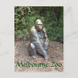 Cartão Postal Melbourne Zoo Gorilla