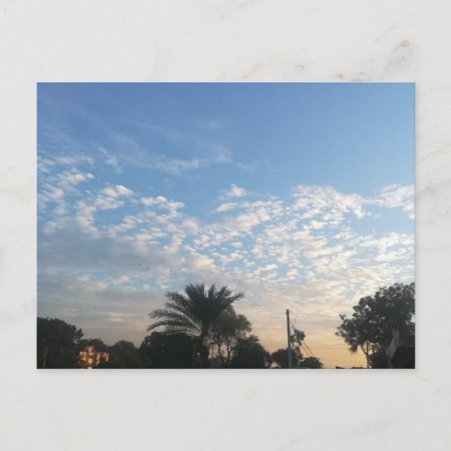 Cartão postal Melhor (Frente)