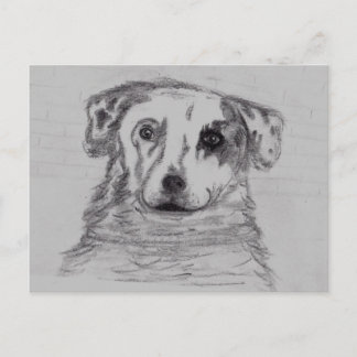 Cartão Postal Melhor amigo