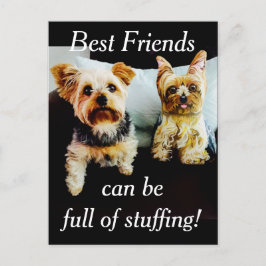 Cartão Postal Melhor Cheio de Estúpias Yorkie Personalize