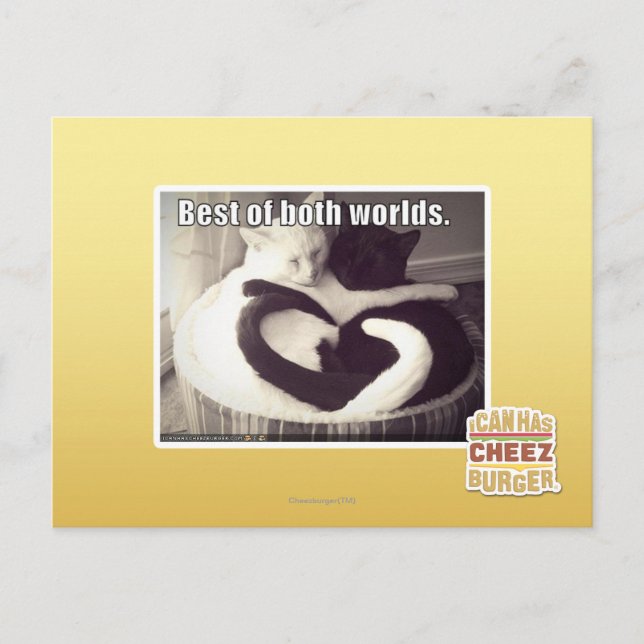 Cartão Postal Melhor de ambos os mundos (Frente)
