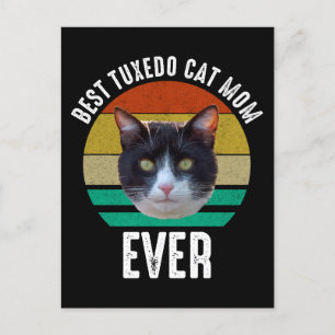 Cartão Postal Melhor Mãe De Gato Tuxedo