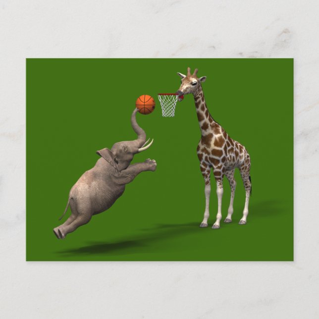 Cartão Postal Melhor Marcador de Basquete (Frente)