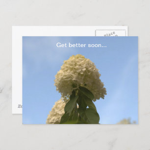Cartão Postal Melhore em breve o Limão Hydrangea