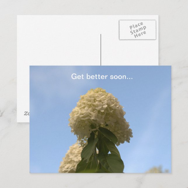 Cartão Postal Melhore em breve o Limão Hydrangea (Frente/Verso)