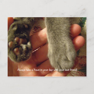 Cartão Postal Melhores amigos