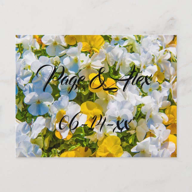 Cartão Postal Melhores desejos para recém-casados Destino de Cas (Frente)