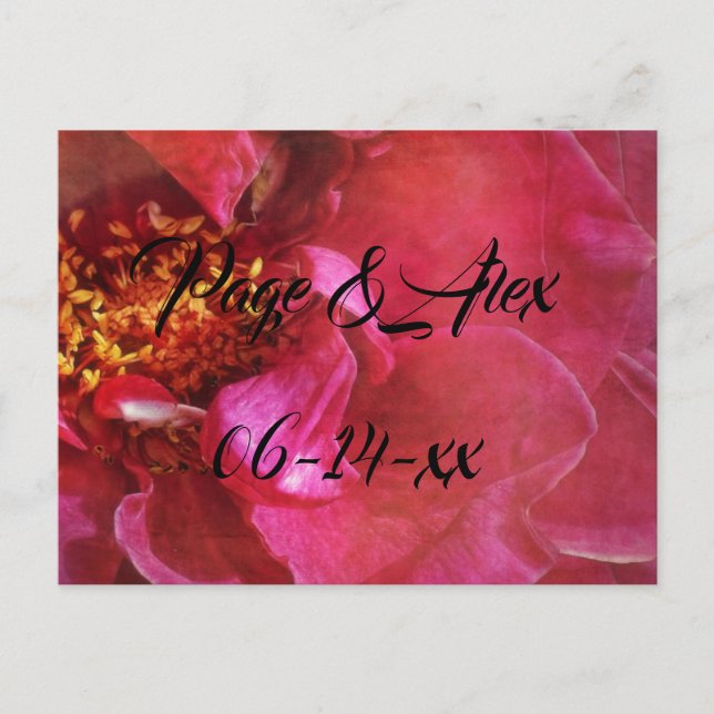 Cartão Postal Melhores desejos para recém-casados Destino de Cas (Frente)