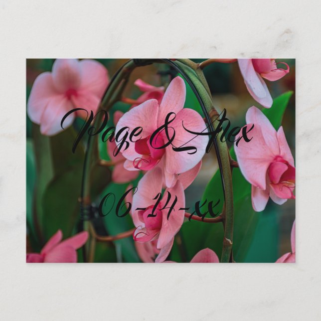 Cartão Postal Melhores desejos para recém-casados Destino de Cas (Frente)