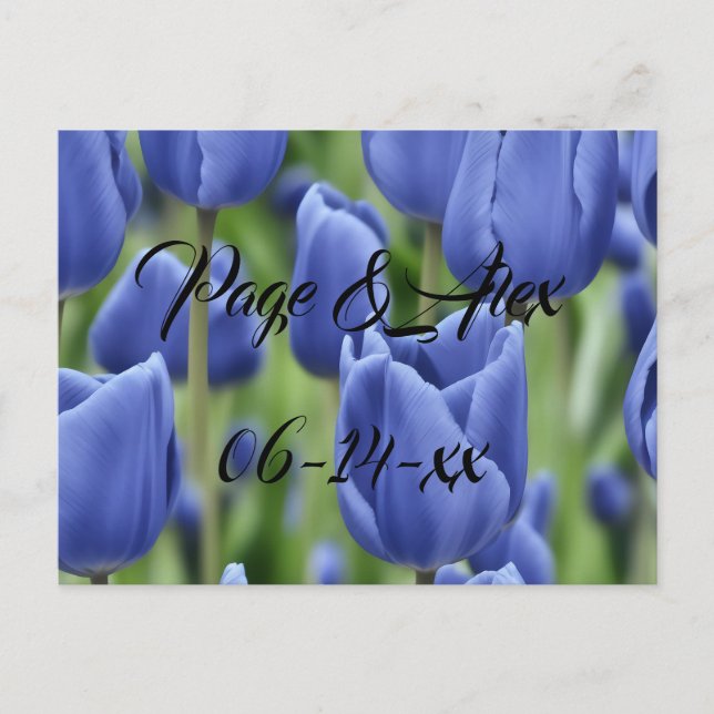 Cartão Postal Melhores desejos para recém-casados Destino de Cas (Frente)