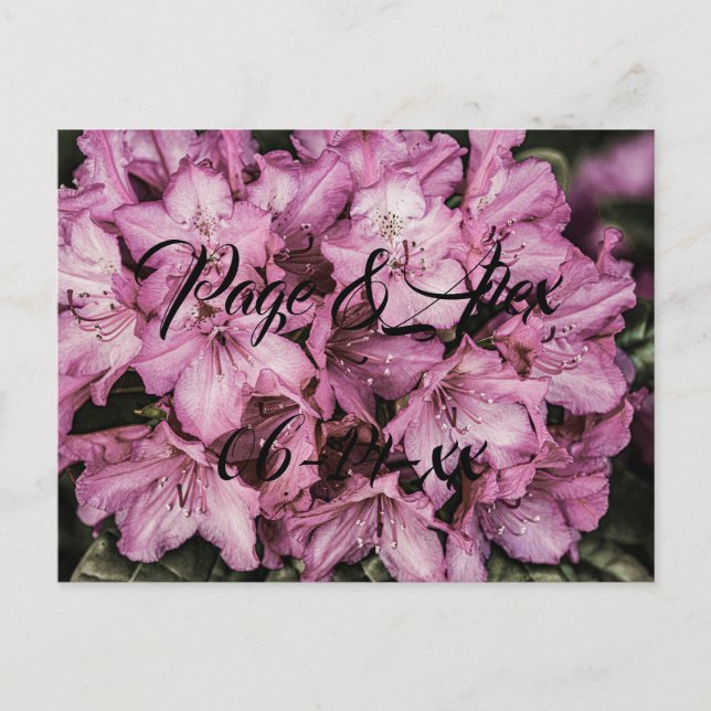 Cartão Postal Melhores desejos para recém-casados Destino de Cas (Frente)