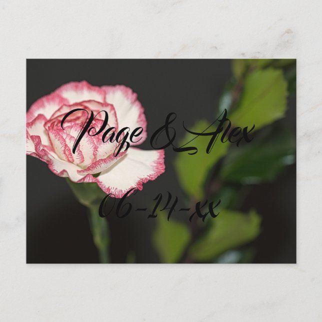 Cartão Postal Melhores desejos para recém-casados Destino de Cas (Frente)