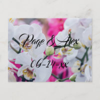 Melhores desejos para recém-casados Destino de Cas