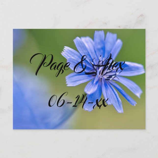 Cartão Postal Melhores desejos para recém-casados Destino de Cas (Frente)