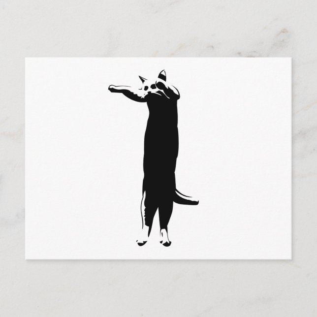 Cartão Postal Meme de gato longo (Frente)