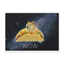 meme do taco espacial doge