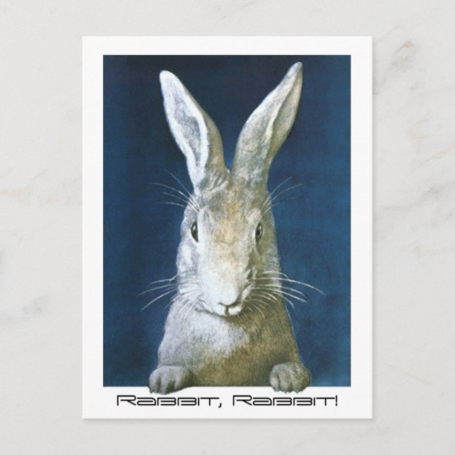 Cartão Postal Memória da Família Postcard Sorte Dizendo Coelho,  (Frente)