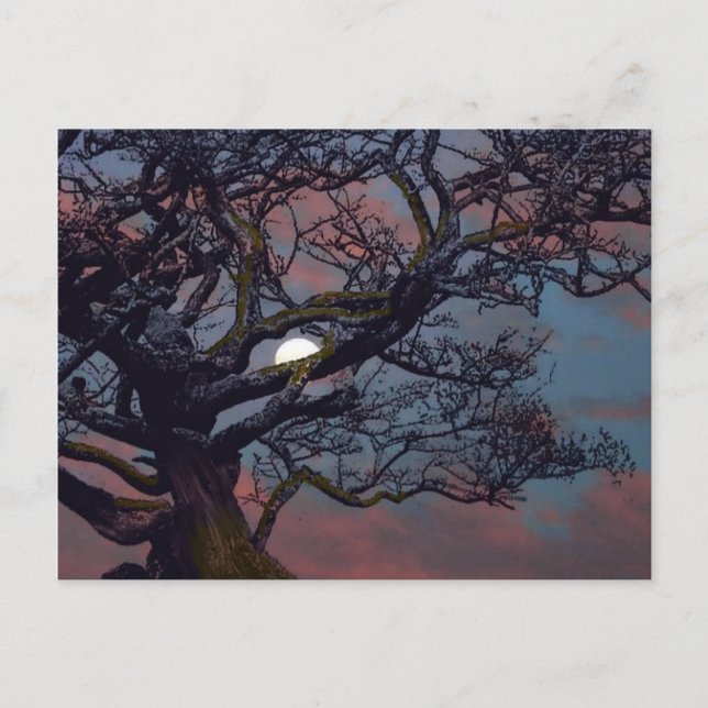 Cartão Postal Memória da Lua (Frente)