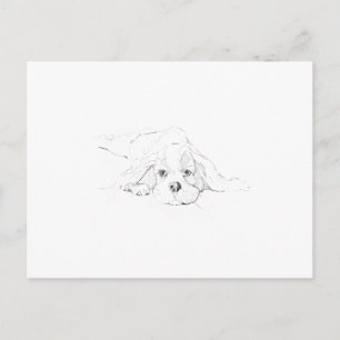 Cartão Postal Memória do Cavalier King Charles Spaniel