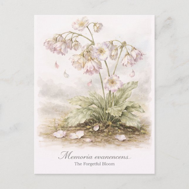 Cartão Postal Memoria Evanescens – The Forgetful Bloom Botanical (Frente)