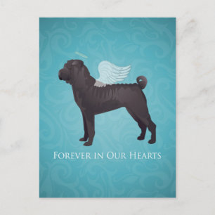 Cartão Postal Memorial e Simpatia do Pet Shar Pei Negro Chinês