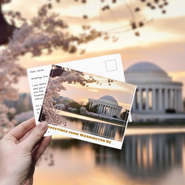Cartão Postal Memorial Jefferson em Washington DC com árvore de  (Criador carregado)