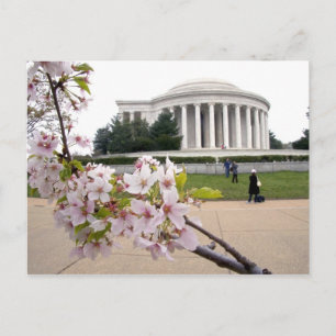 Cartão Postal Memorial Thomas Jefferson com flores de cerejeira