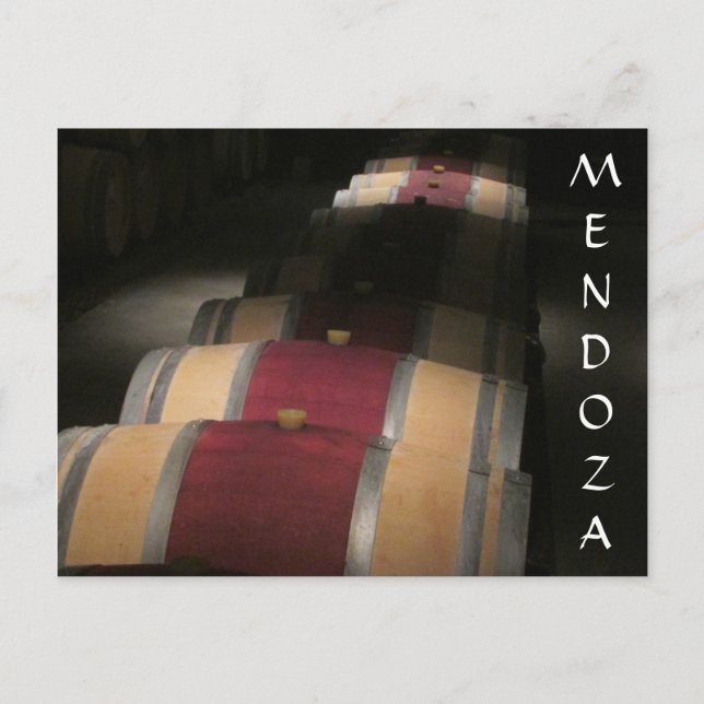 Cartão Postal mendoza vino barrels (Frente)